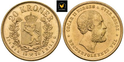 1876 Norge 20 Kroner, 01